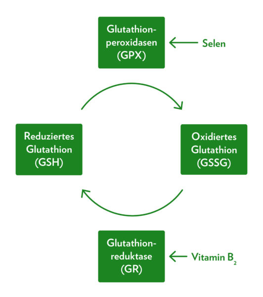 Gesundheit in der Spur  Naturheilpraxis